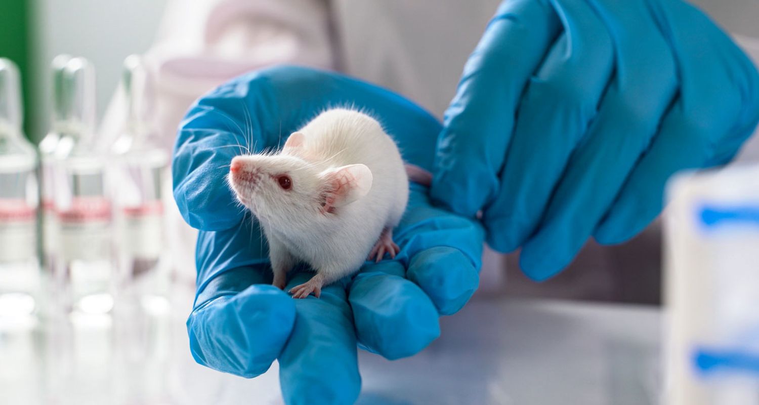 2. Benefits And Options For Using Animals In Research 